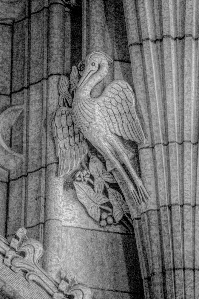 Parliament : Detail Bird